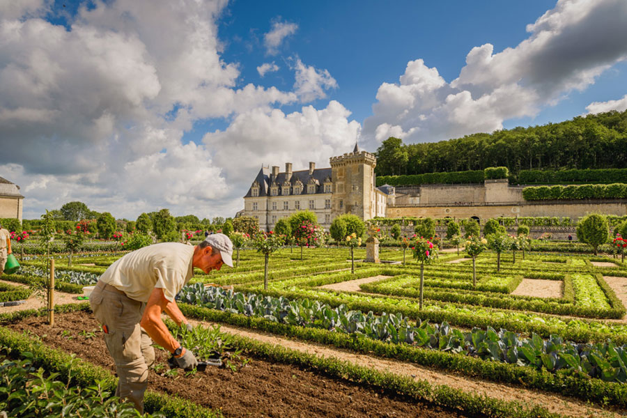 Acheter un billet en ligne pour visiter des jardins et du Château de Villandry