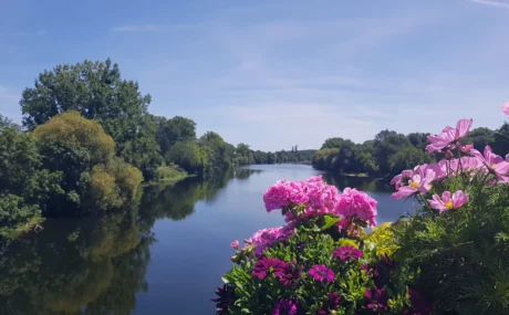 La Loire en été
