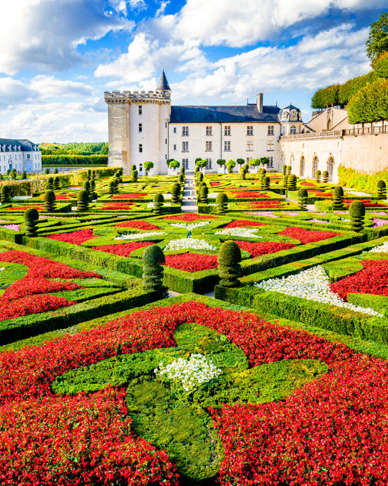 Visite des jardins et du Château de Villandry